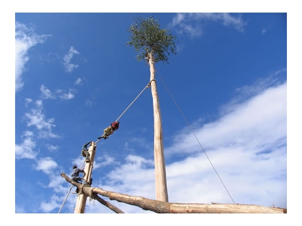 il maggio di accettura