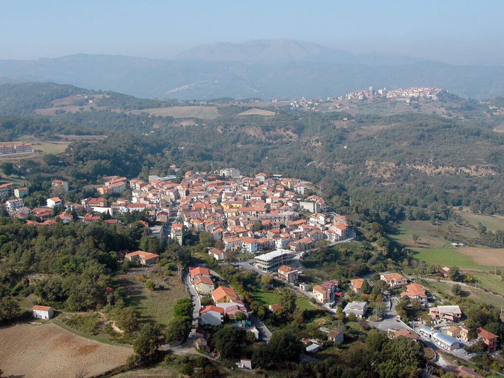 Fardella