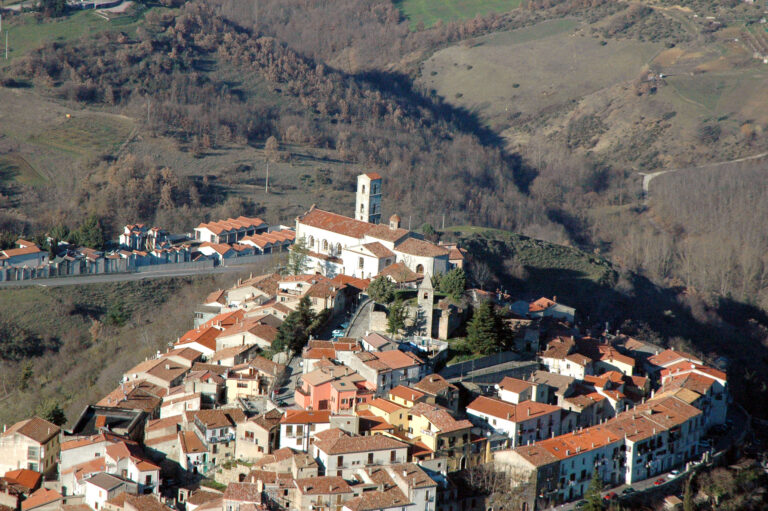 Pignola