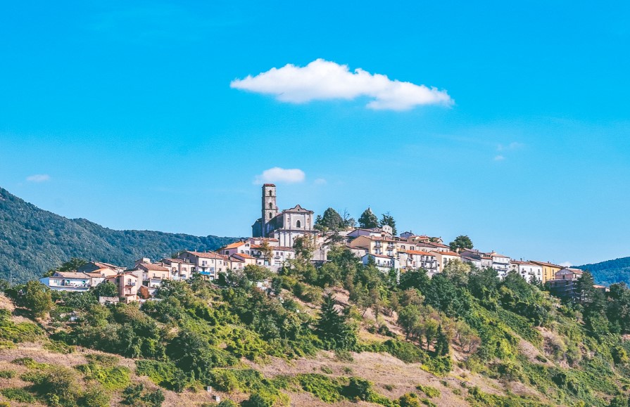 Pignola