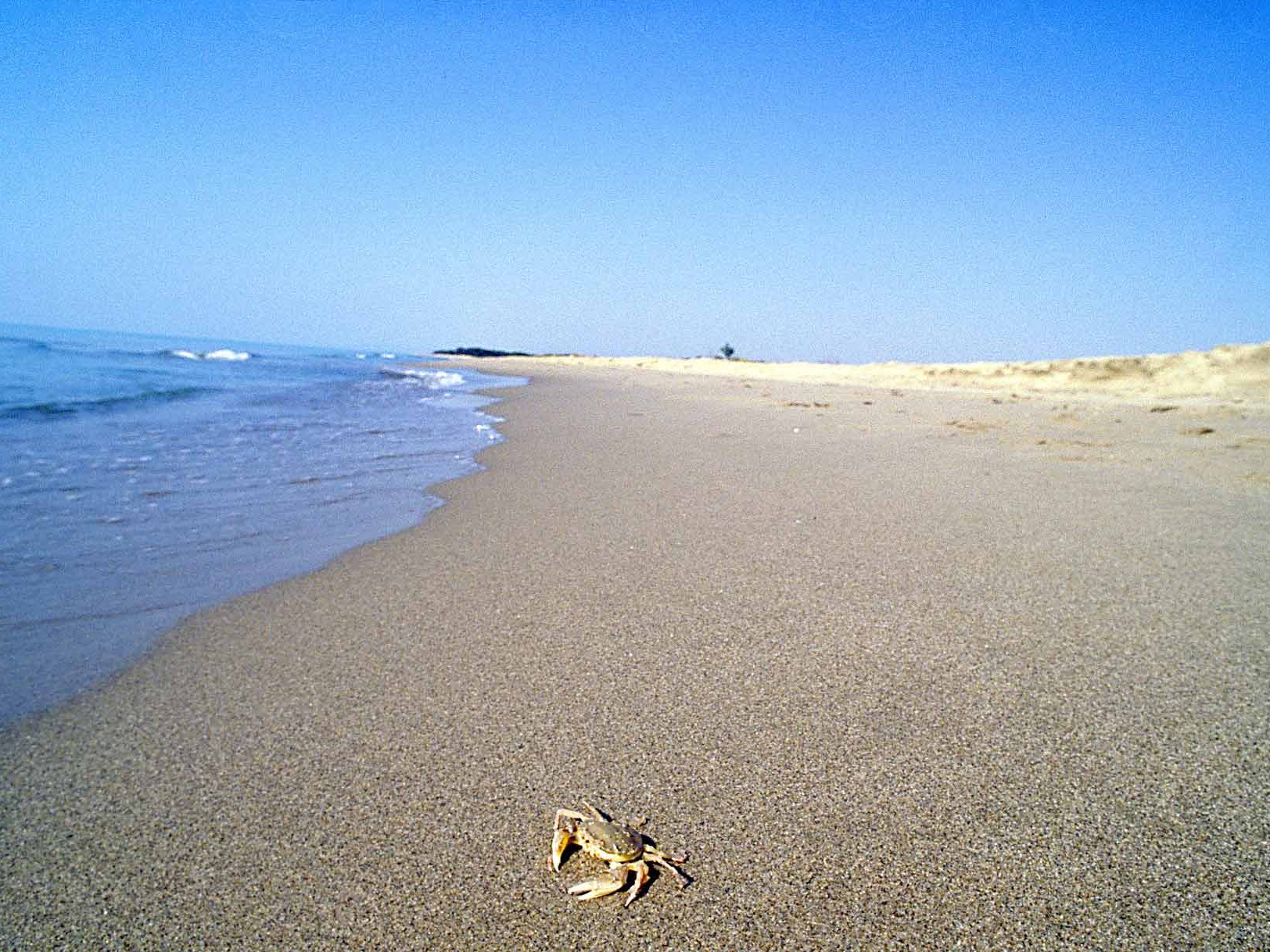 Dove andare al mare in Basilicata nella costa ionica?