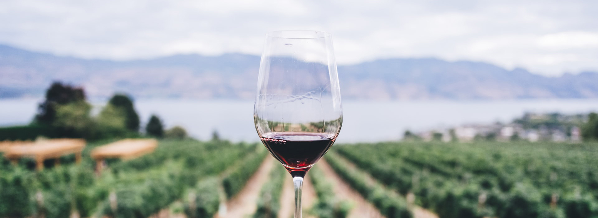 I migliori vini della Sicilia