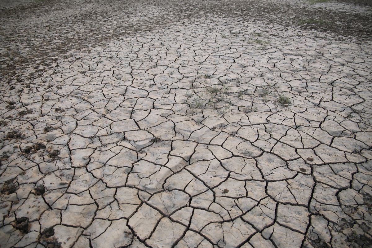 Emergenza Idrica in Basilicata
