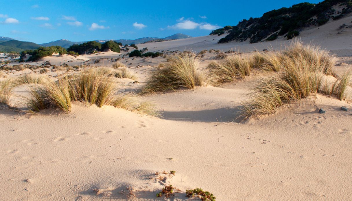 Il Deserto di Piscinas: il Miracolo Naturale Italiano che Incanta il Mondo