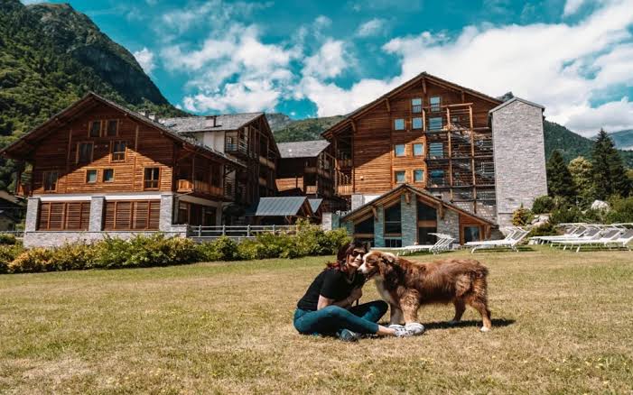 luoghi pet friendly in cui andare in estate