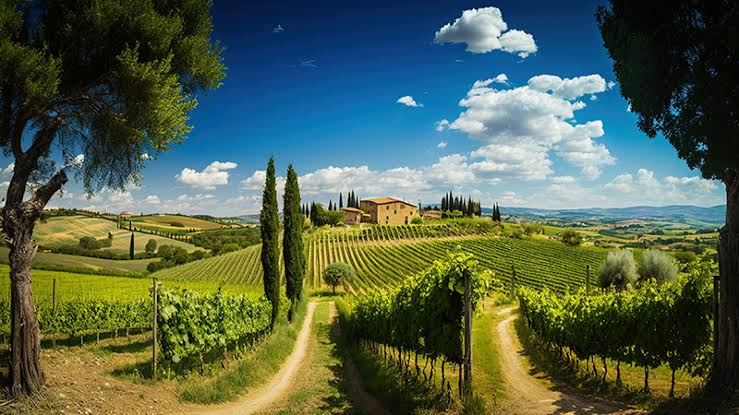 Tra cipressi e colline: il viaggio alla scoperta della Toscana più suggestiva