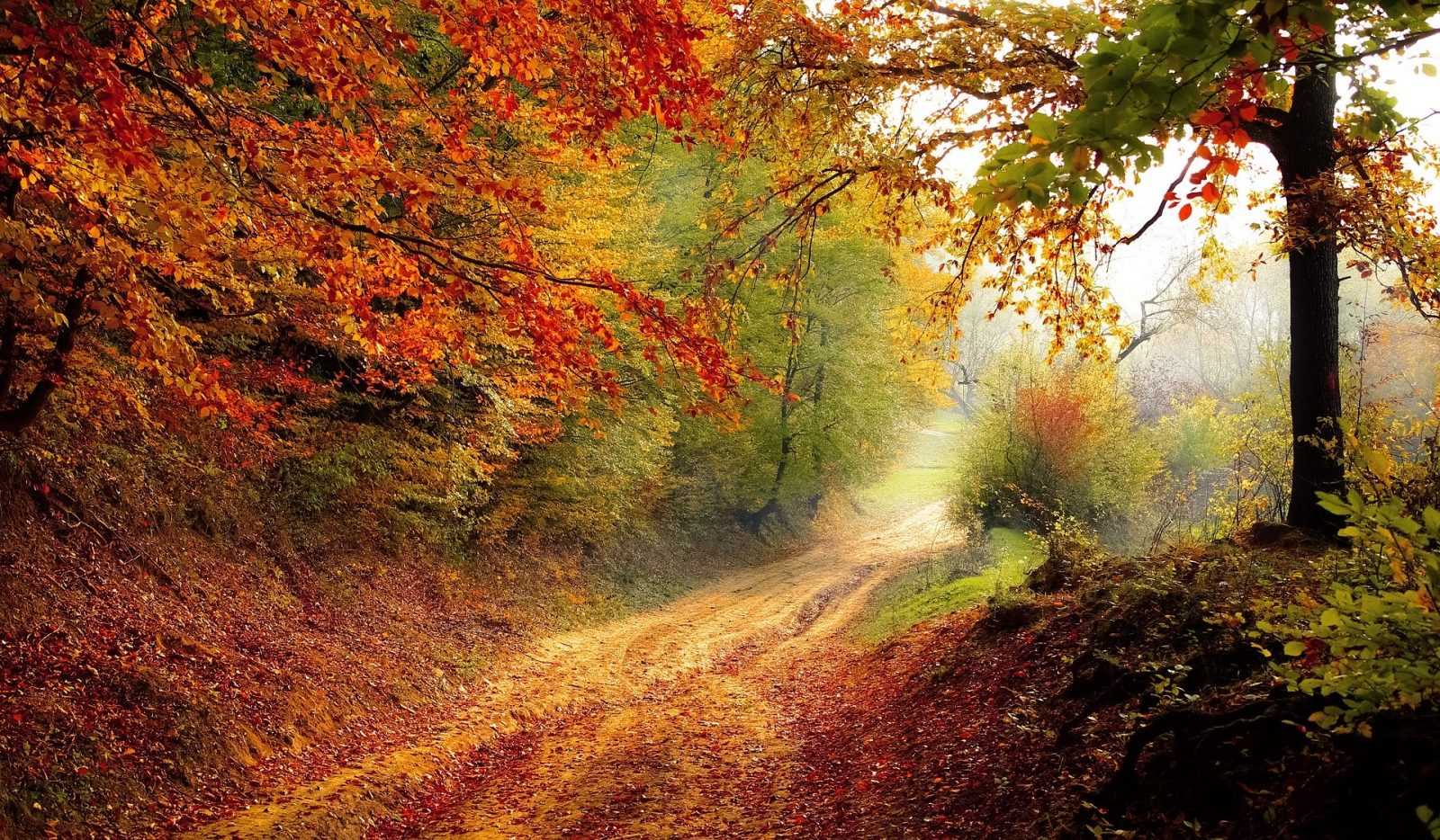 3 mete italiane dove vedere il foliage