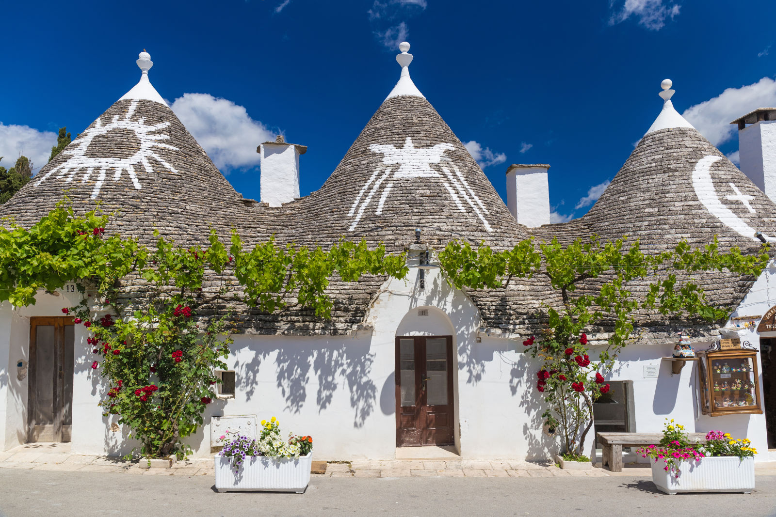Alberobello, il borgo tra ulivi e pietra: il piccolo gioiello pugliese da visitare
